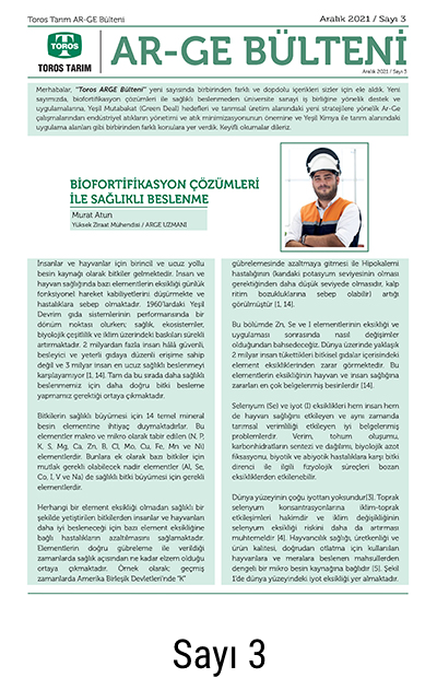 ArGe Bülteni_3