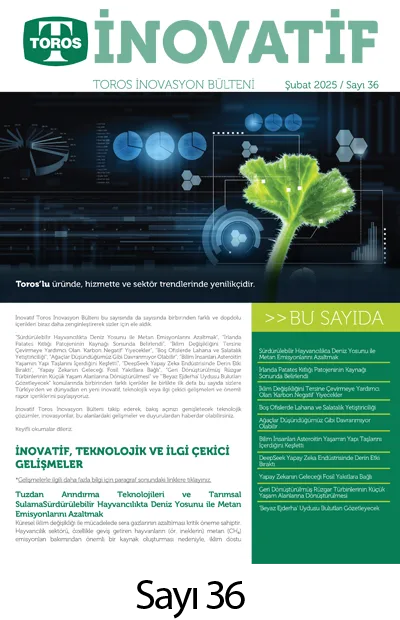 inovasyon-sayi36