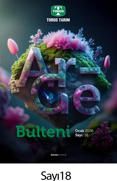 toros-arge-sayi18