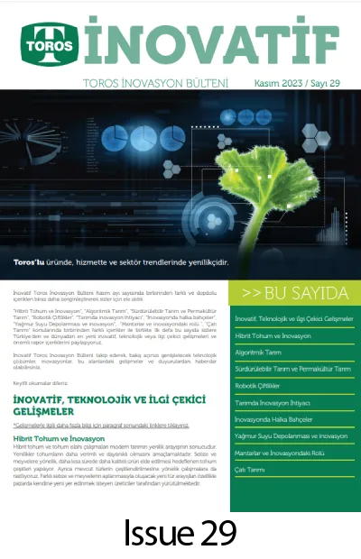 inovasyon-29 inovasyon-29