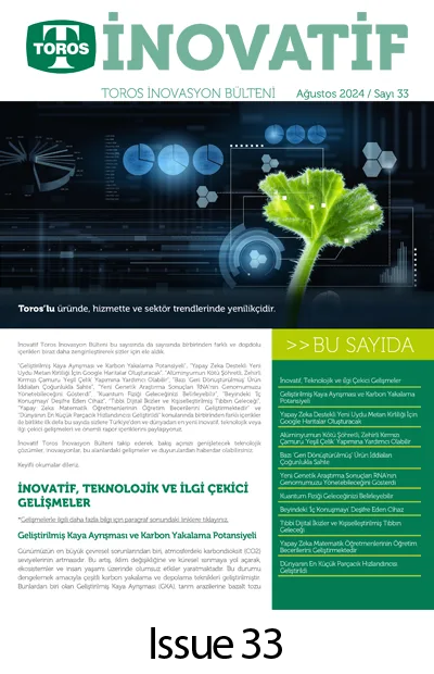 inovasyon-33 inovasyon-33