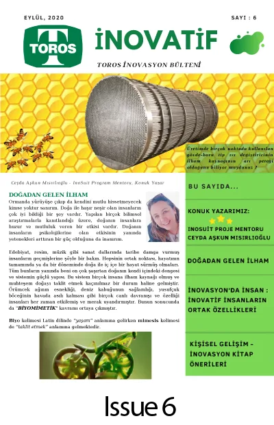 inovasyon-6 inovasyon-6