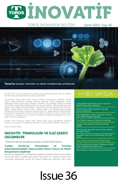 inovasyon-issue36 inovasyon-issue36