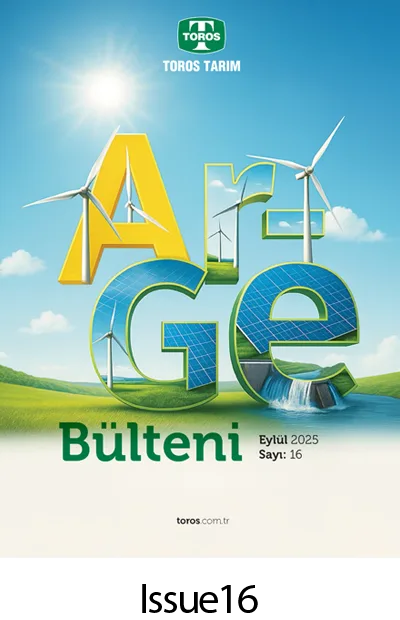 issue-16-toros-arge issue-16-toros-arge